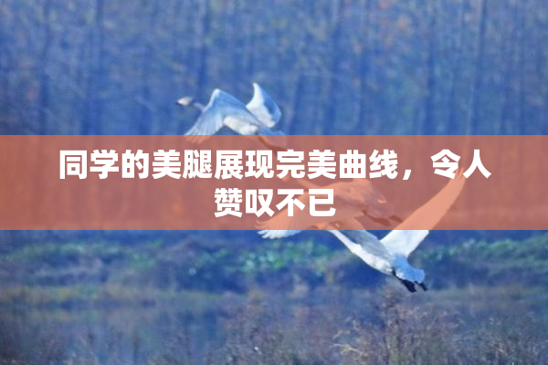 同学的美腿展现完美曲线，令人赞叹不已