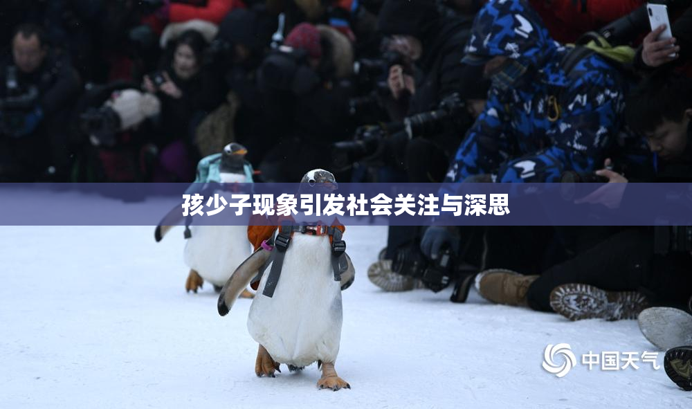 孩少子现象引发社会关注与深思