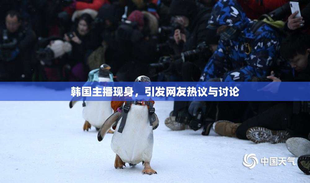 韩国主播现身，引发网友热议与讨论