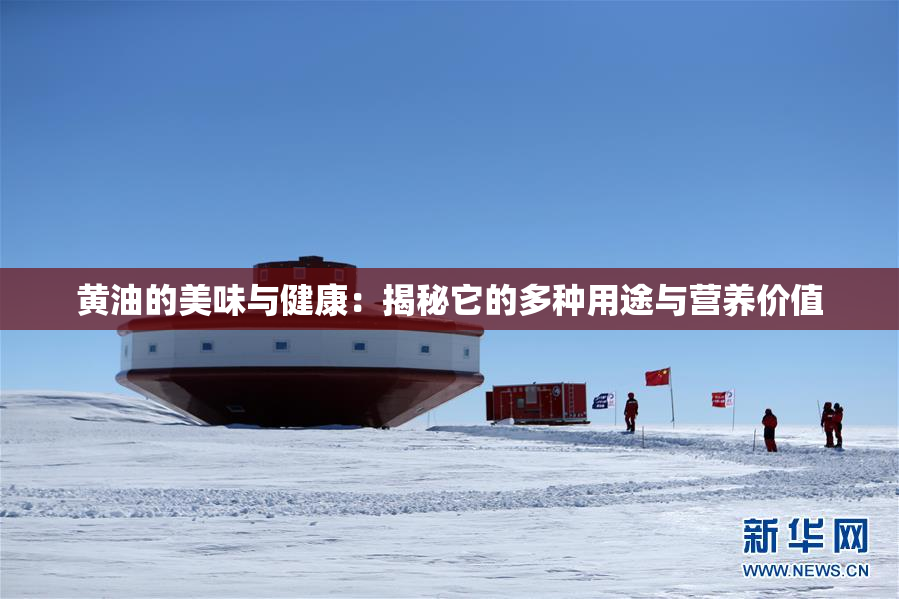 黄油的美味与健康：揭秘它的多种用途与营养价值
