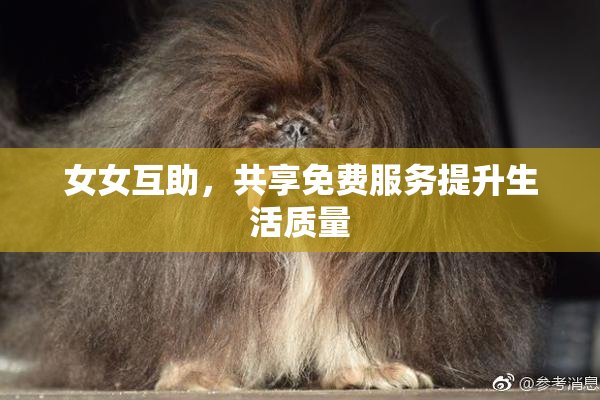 女女互助，共享免费服务提升生活质量