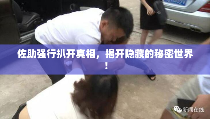 佐助强行扒开真相，揭开隐藏的秘密世界！