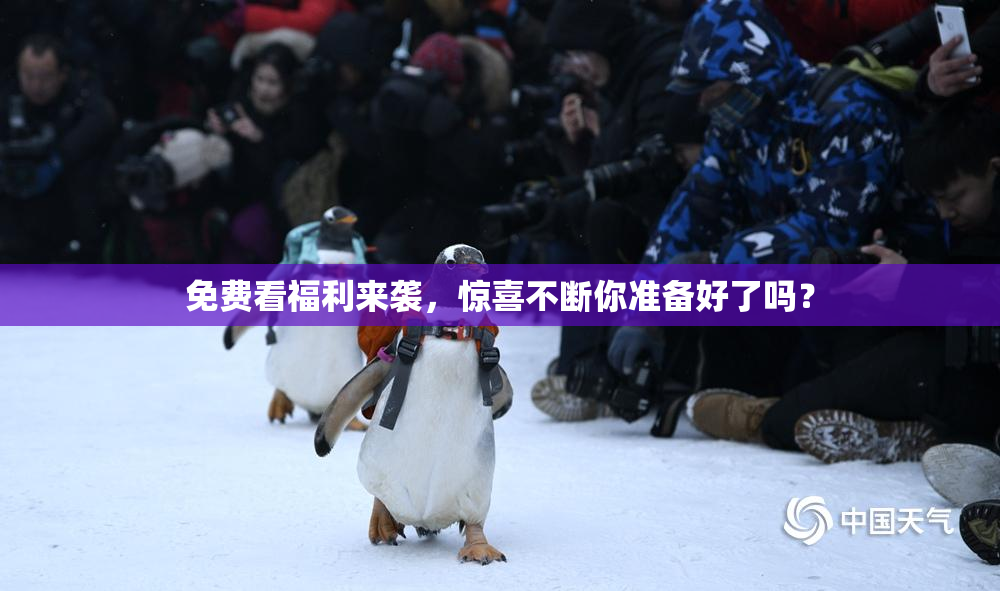 免费看福利来袭，惊喜不断你准备好了吗？