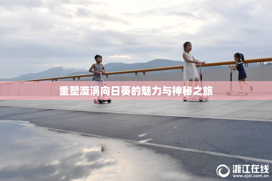 重塑漩涡向日葵的魅力与神秘之旅