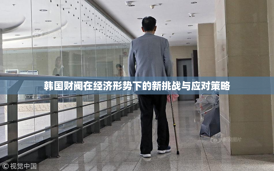 韩国财阀在经济形势下的新挑战与应对策略