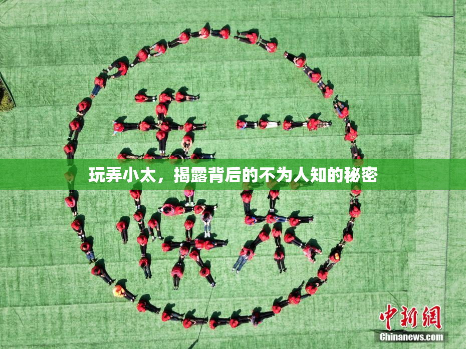 玩弄小太，揭露背后的不为人知的秘密