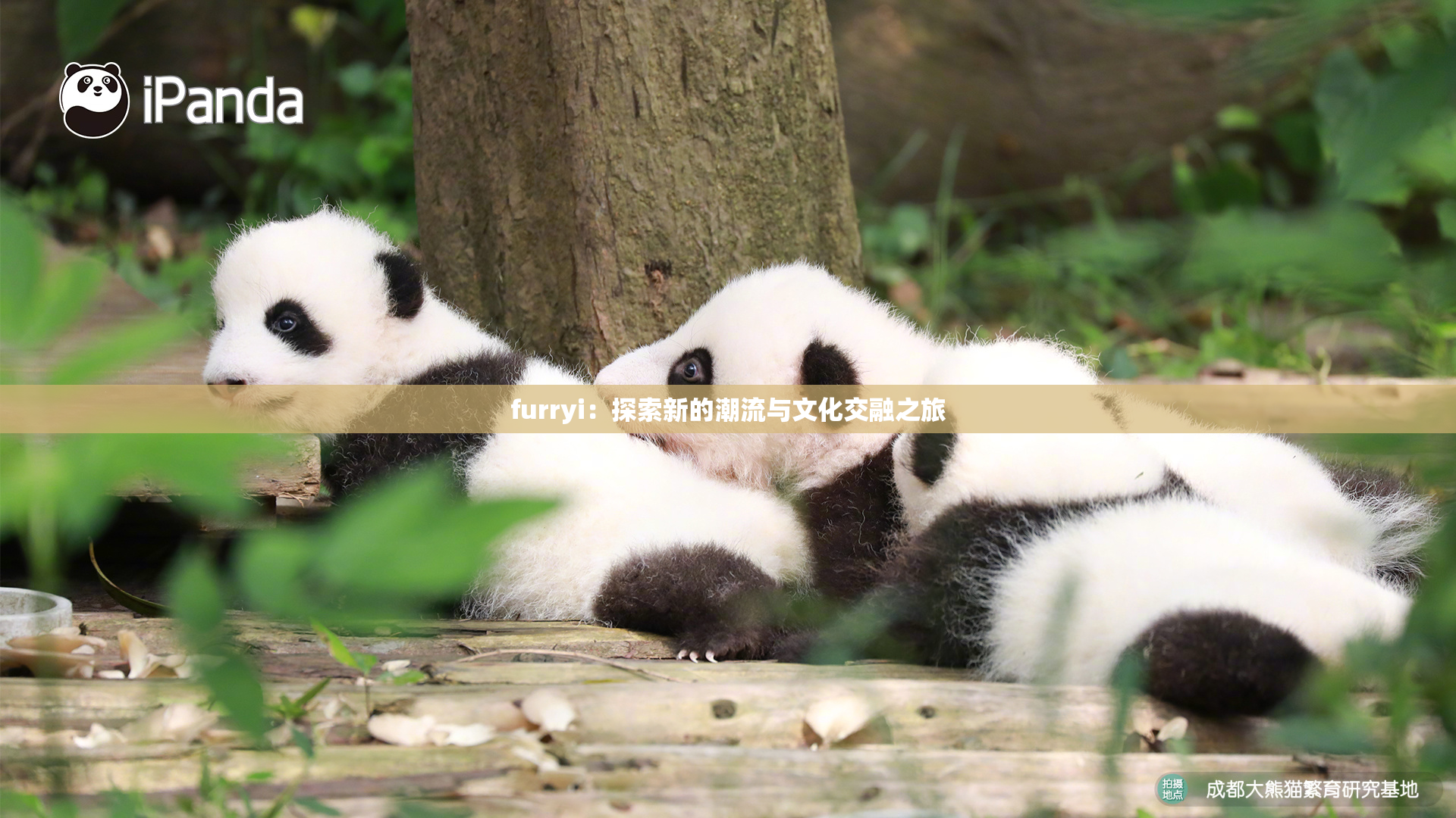 furryi：探索新的潮流与文化交融之旅