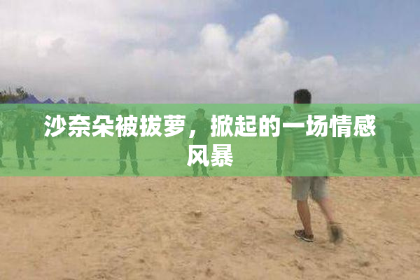 沙奈朵被拔萝，掀起的一场情感风暴