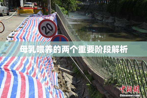 母乳喂养的两个重要阶段解析