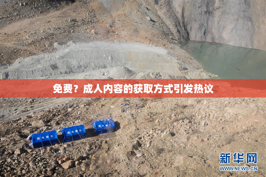 免费？成人内容的获取方式引发热议