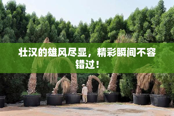 壮汉的雄风尽显，精彩瞬间不容错过！
