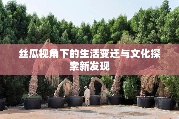 丝瓜视角下的生活变迁与文化探索新发现