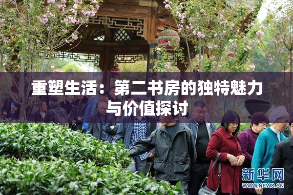 重塑生活：第二书房的独特魅力与价值探讨