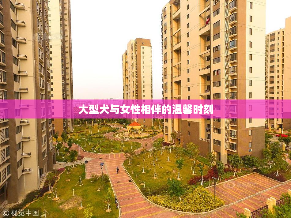 大型犬与女性相伴的温馨时刻