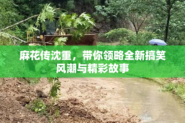 麻花传沈重，带你领略全新搞笑风潮与精彩故事