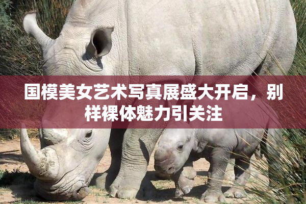 国模美女艺术写真展盛大开启，别样裸体魅力引关注