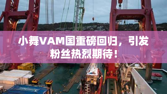 小舞VAM国重磅回归，引发粉丝热烈期待！