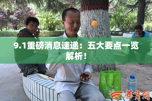 9.1重磅消息速递：五大要点一览解析！