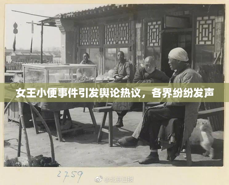 女王小便事件引发舆论热议，各界纷纷发声
