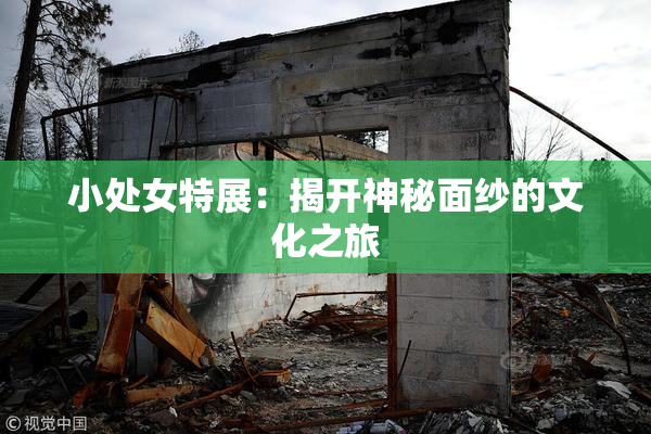 小处女特展：揭开神秘面纱的文化之旅