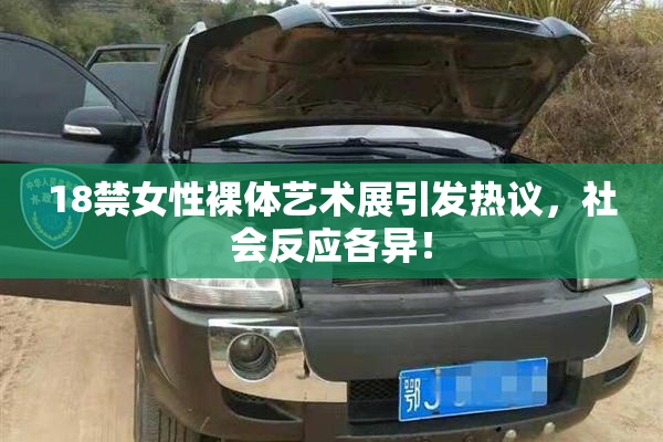 18禁女性裸体艺术展引发热议，社会反应各异！