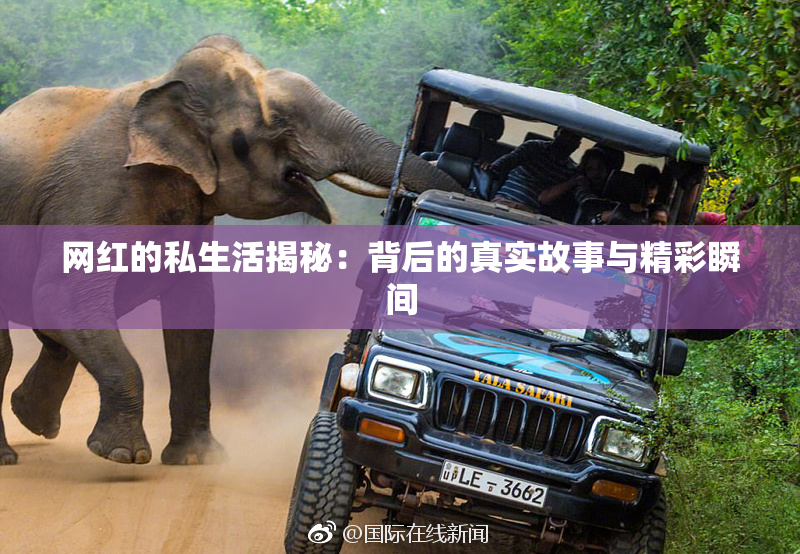 网红的私生活揭秘：背后的真实故事与精彩瞬间