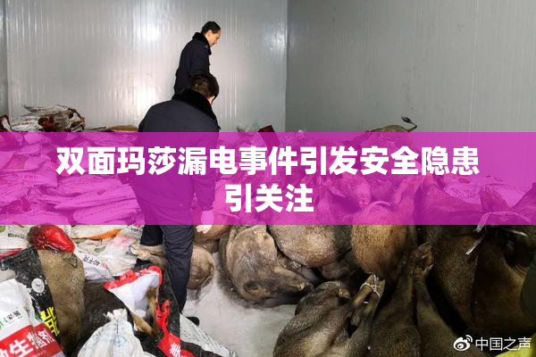 双面玛莎漏电事件引发安全隐患引关注