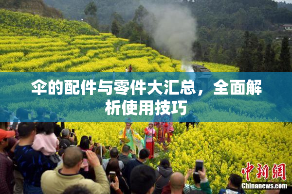 伞的配件与零件大汇总，全面解析使用技巧