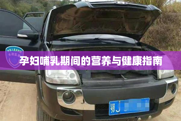 孕妇哺乳期间的营养与健康指南
