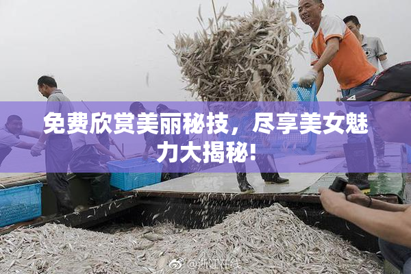 免费欣赏美丽秘技，尽享美女魅力大揭秘!