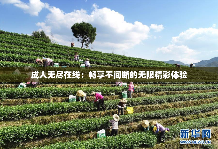 成人无尽在线：畅享不间断的无限精彩体验