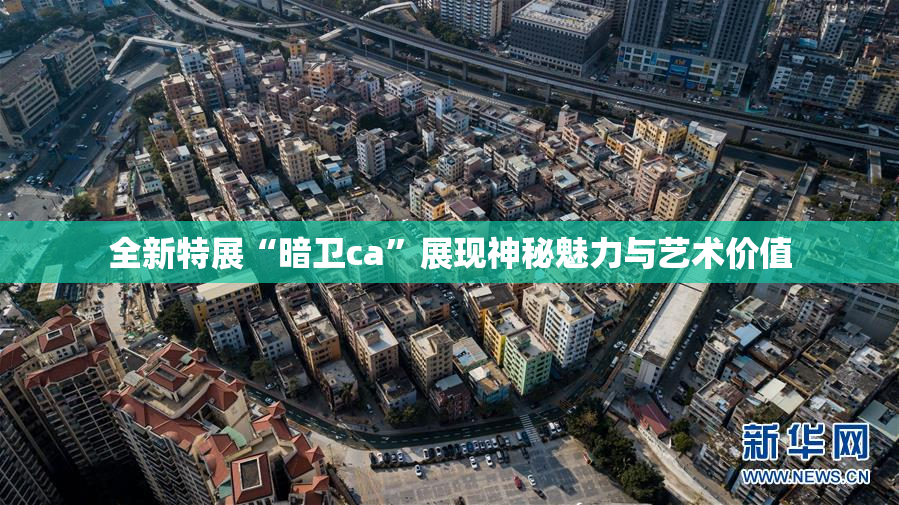 全新特展“暗卫ca”展现神秘魅力与艺术价值