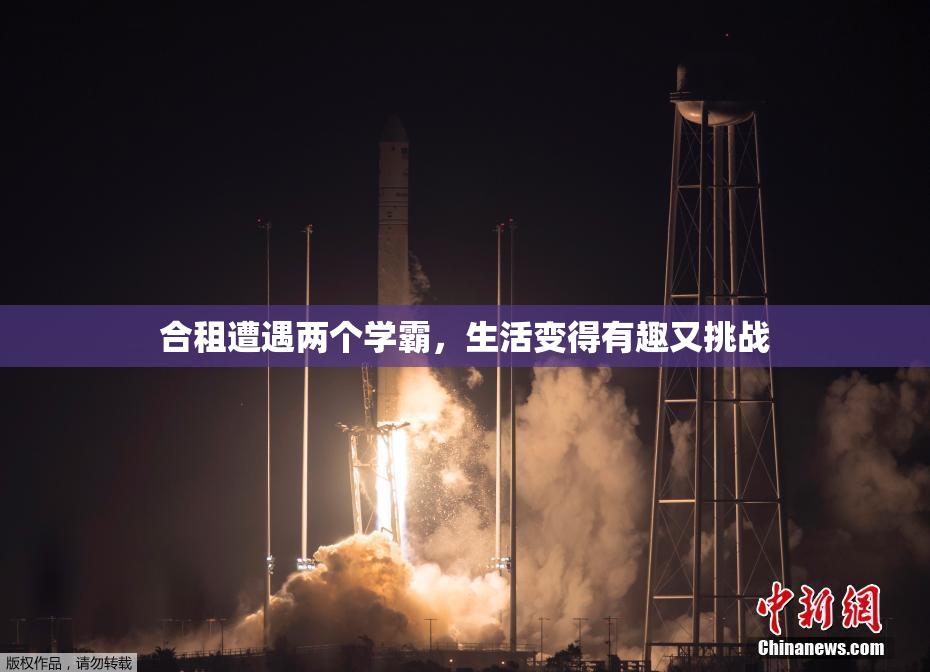 合租遭遇两个学霸，生活变得有趣又挑战