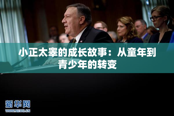 小正太睾的成长故事：从童年到青少年的转变