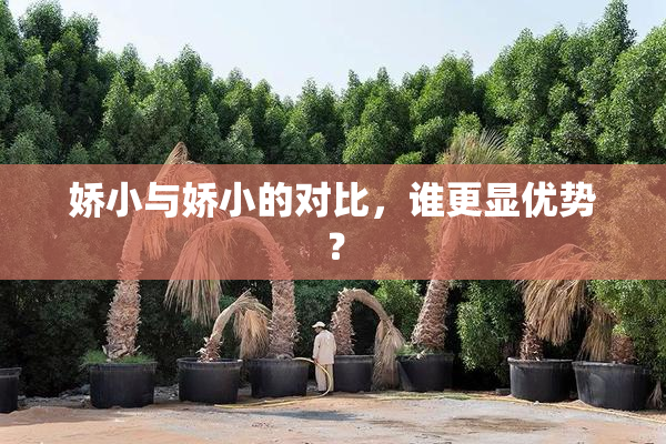 娇小与娇小的对比，谁更显优势？
