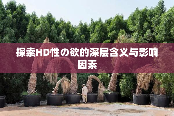 探索HD性の欲的深层含义与影响因素