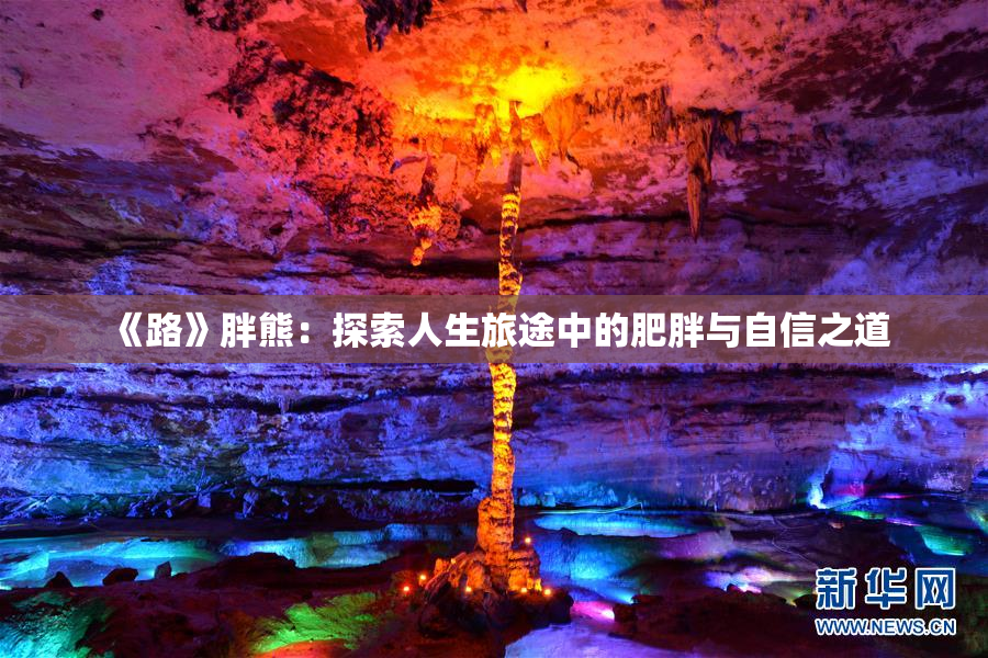 《路》胖熊：探索人生旅途中的肥胖与自信之道