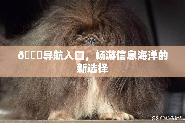 🍓导航入口，畅游信息海洋的新选择