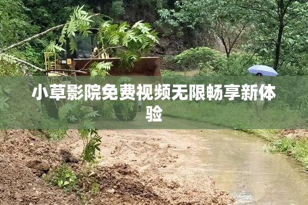 小草影院免费视频无限畅享新体验