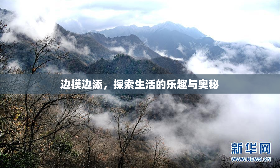 边摸边添，探索生活的乐趣与奥秘