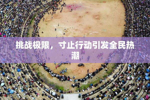 挑战极限，寸止行动引发全民热潮