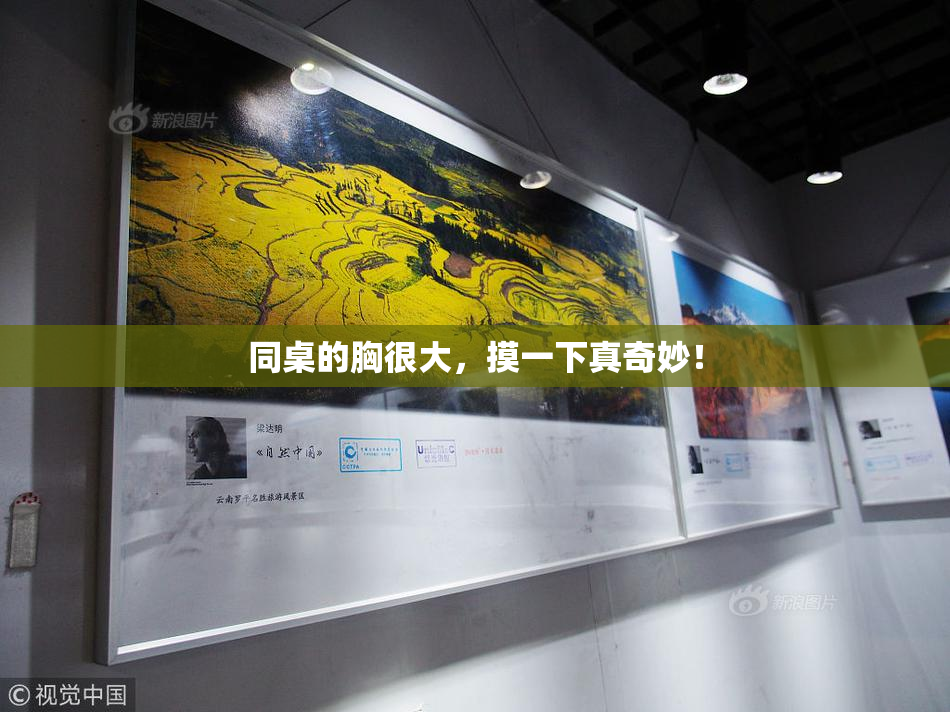 同桌的胸很大，摸一下真奇妙！