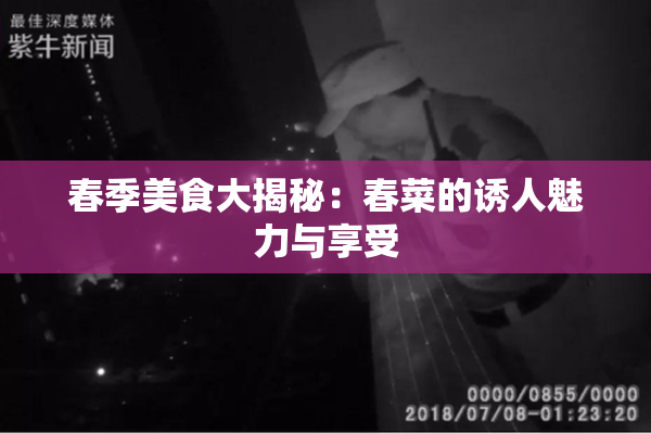 春季美食大揭秘：春菜的诱人魅力与享受