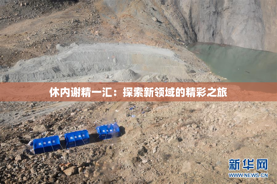 休内谢精一汇：探索新领域的精彩之旅