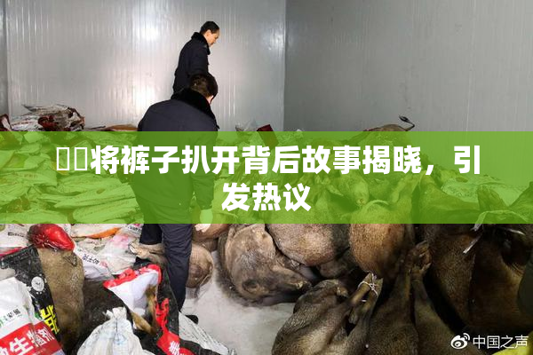 妺妺将裤子扒开背后故事揭晓，引发热议
