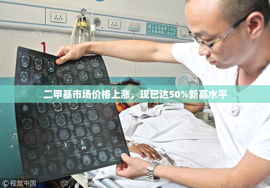 二甲基市场价格上涨，现已达50%新高水平