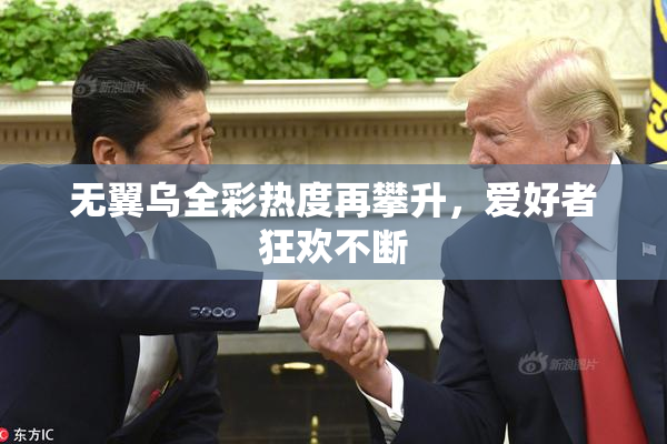 无翼乌全彩热度再攀升，爱好者狂欢不断