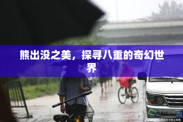 熊出没之美，探寻八重的奇幻世界