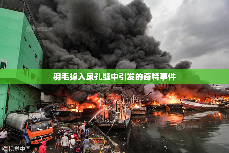 羽毛掉入尿孔缝中引发的奇特事件