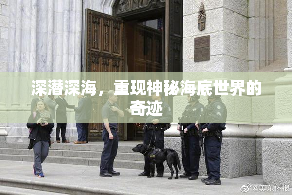 深潜深海，重现神秘海底世界的奇迹